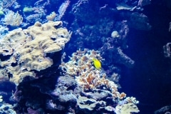 edefrutos_28042012_134743
