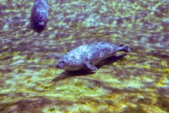 edefrutos_28042012_143927