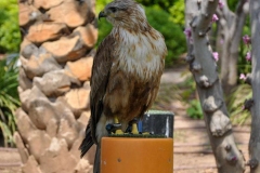 edefrutos_28042012_151109