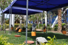 edefrutos_28042012_151122