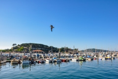 edefrutos_11082014_193519