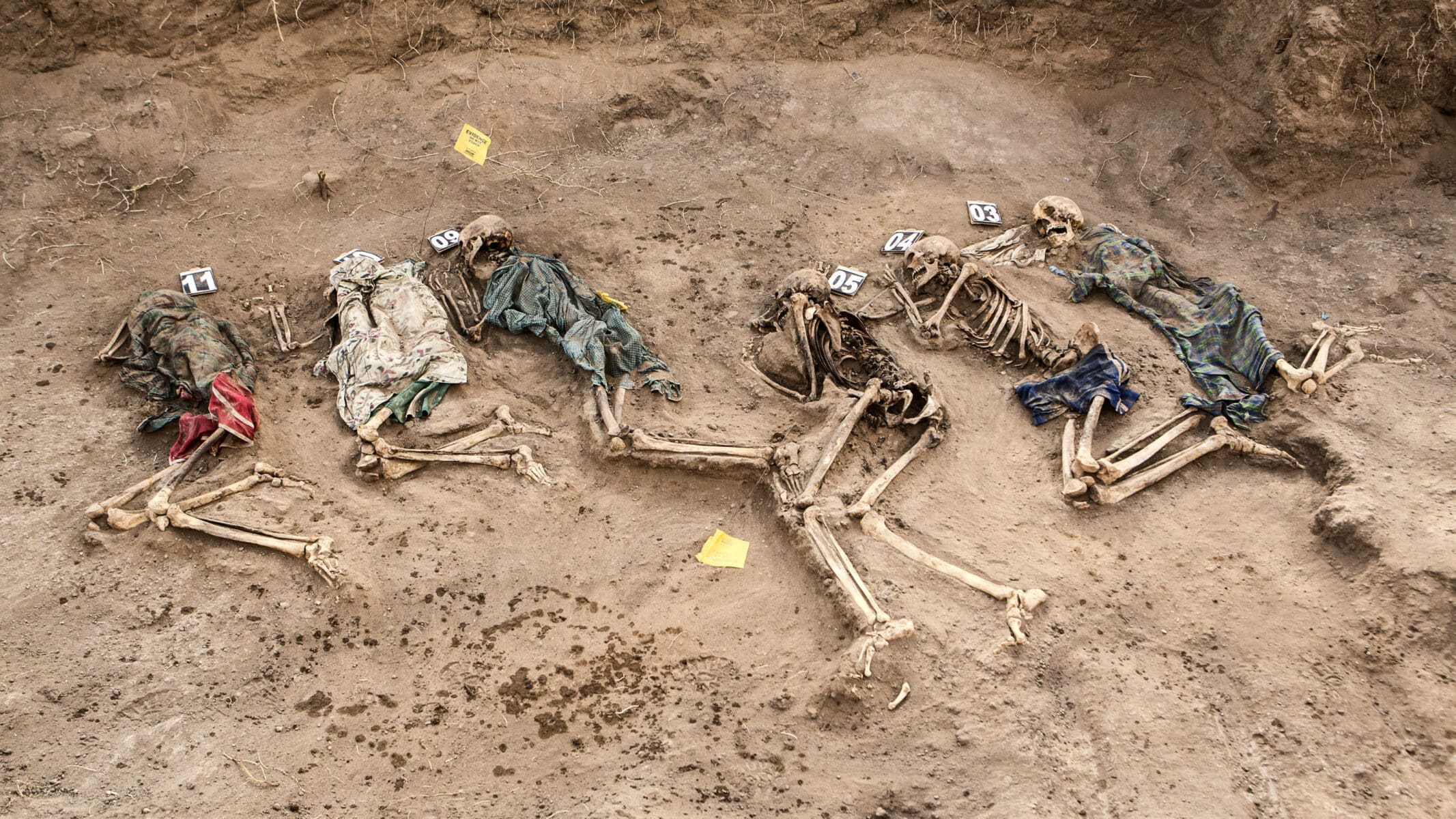 Las masacres en la prehistoria, de la violencia a la guerra