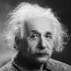 entrada albert einstein
