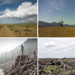entrada agotado los recursos que obtenemos de la Tierra