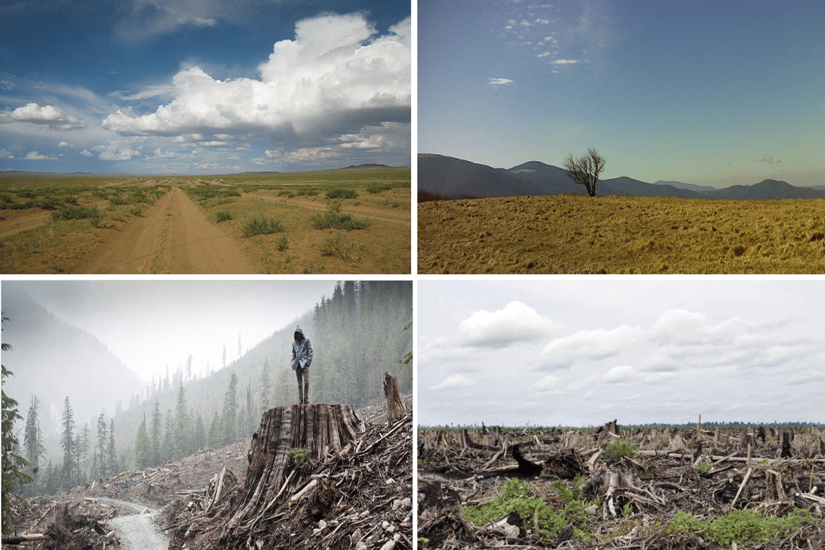 entrada agotado los recursos que obtenemos de la Tierra